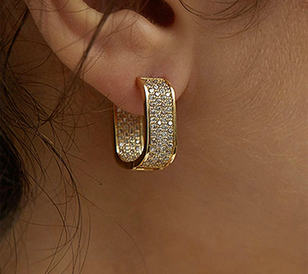 I love 2 Shine Earrings