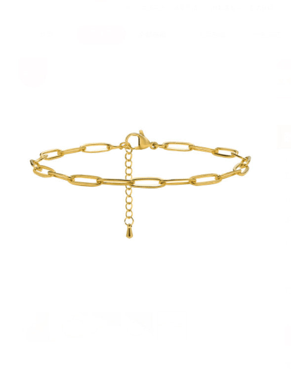 Linked Anklet