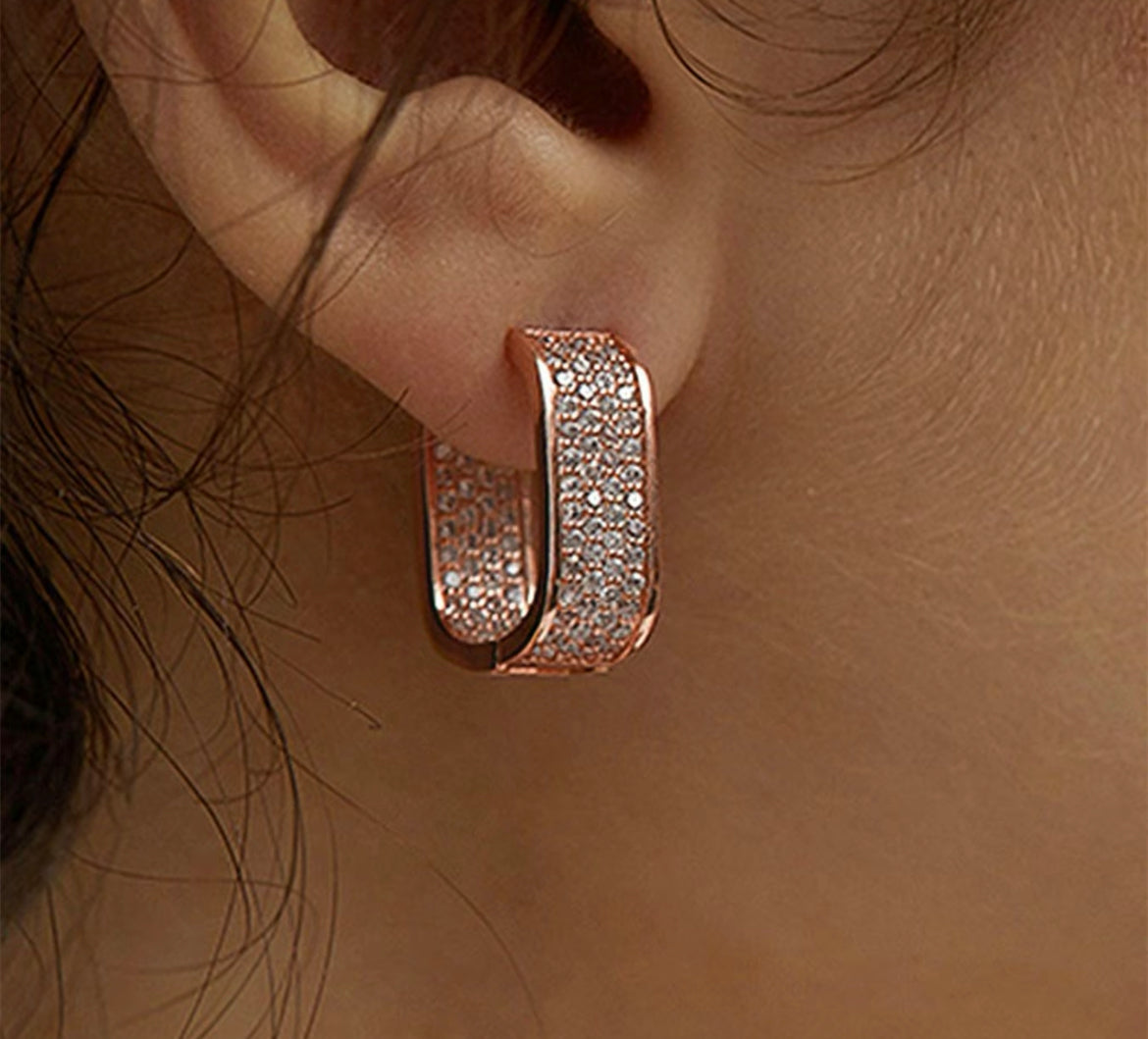 I love 2 Shine Earrings
