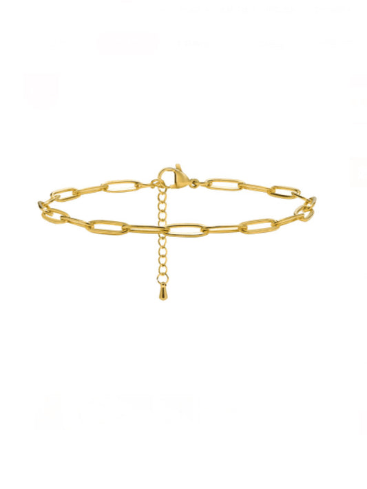 Linked Anklet